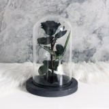 Trandafir Criogenat XL negru &Oslash;6,5cm in cupola 10x20cm