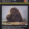 Psihologia, numarul 4, 2000