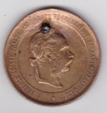 Medalie Austria Ungaria Franz Joseph Vaskapu szab&aacute;lyoz&aacute;sa Regula Proiectul de Regulare a Stramtorii Porților de Fier 1896