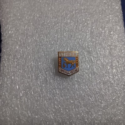 insigna Streiul Simeria Veche foto