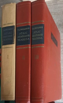 ATLAS DE ANATOMIE UMANA VOL.1-3 (IN LB. RUSA)-R.D. SINELNIKOV-265554 foto