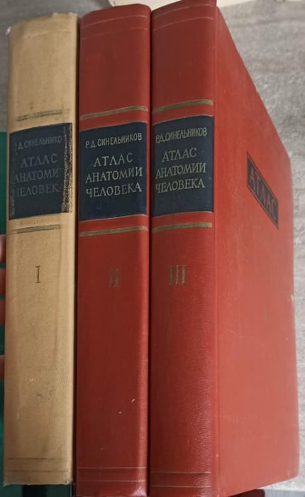 ATLAS DE ANATOMIE UMANA VOL.1-3 (IN LB. RUSA)-R.D. SINELNIKOV-265554