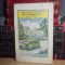 VIRGIL GH. COMAN - ARTA DE-A CONDUCE AUTOMOBILUL , ED. II , INTERBELICA ,ALCALAY