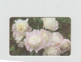 bnk card Cartele telefonice - Romania Romtelecom 2006 - Flowers 1 - Col:RO-ROM-0360B