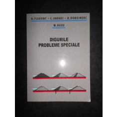 Gheorghe Flegont, Corneliu Andrei - Digurile. Probleme speciale (2006)