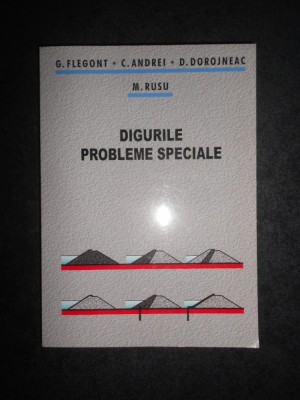 Gheorghe Flegont, Corneliu Andrei - Digurile. Probleme speciale (2006) foto