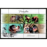 CUBA 2020 FAUNA MAIMUTE