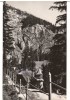 CPIB 15977 CARTE POSTALA - LACUL ROSU. VEDERE SPRE SUHARD, RPR, Circulata, Fotografie