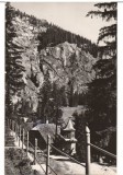 CPIB 15977 CARTE POSTALA - LACUL ROSU. VEDERE SPRE SUHARD, RPR, Circulata, Fotografie