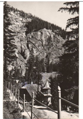 CPIB 15977 CARTE POSTALA - LACUL ROSU. VEDERE SPRE SUHARD, RPR foto