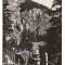 CPIB 15977 CARTE POSTALA - LACUL ROSU. VEDERE SPRE SUHARD, RPR
