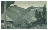 3041 - Sibiu, MOUNTAIN NEGOIU, Romania - old postcard - unused - 1917, Necirculata, Printata