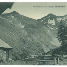 3041 - Sibiu, MOUNTAIN NEGOIU, Romania - old postcard - unused - 1917