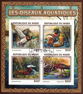💦 FAUNA 💦 pasari, fluturi, caini, reptile / blocuri si colite (10 imagini) foto