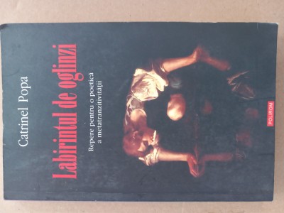 (C529) Catrinel Popa - Labirintul de oglinzi foto
