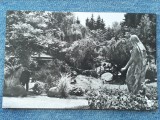 215- Cluj-Napoca - Vedere din Gradina botanica / carte postala necirculata RPR, Fotografie