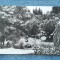 215- Cluj-Napoca - Vedere din Gradina botanica / carte postala necirculata RPR