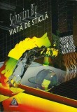 Vată de sticlă - Paperback brosat - Sebastian Big - Charmides