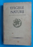 Petre Stoica &ndash; Efigiile naturii Antologia pastelului romanesc