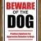 Beware of the Dog: Positive Solutions for Aggressive Behavior in Dogs