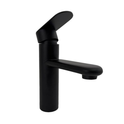 Baterie Lavoar Inox Negru foto