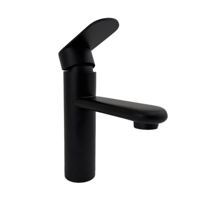 Baterie Lavoar Inox Negru