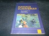 MIRCEA DEGERATU - MANUALUL SCAFANDRULUI, Alte carti tehnice