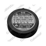 Calorstat by Vernet buson, vas expansiune