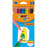 Creioane Colorate Bic Tropicolors, 12 Buc/set, Culori Asortate, Creioane Colorate Bic, Creion Colorat Bic Tropicolors, Set 12 Creioane Colorate Bic, C