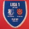 Fanion (protocol-oficial)meci FARUL Constanta-CFR CLUJ (2021/2022) PLAY-OFF