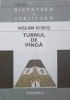 Turnul de Panda - Poezii de Vasilian Dobos, Editura Junimea, 2003, 232 pagini