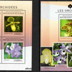 GUINEEA 2014, Flora - Orhidee, serie neuzata, MNH