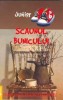 Scaunul bunicului - Nathaniel Hawthorne - Carte Beletristica Aventura