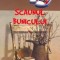 Scaunul bunicului - Nathaniel Hawthorne