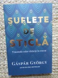 Suflete de sticla Traumele celor rataciti in trecut - Gaspar Gyorgy