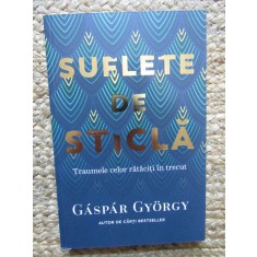 Suflete de sticla Traumele celor rataciti in trecut - Gaspar Gyorgy