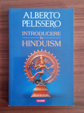 Introducere &icirc;n hinduism -, Alberto Pelissero