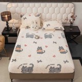 Husa de Pat Cocolino cu Elastic + 2 Fete de Perna pentru Pat Dublu - FR117