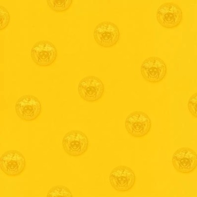 Tapet lux Versace III 34862-4 foto