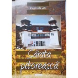 SARATA PITOREASCA-IONEL BALAN-238766