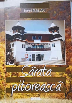 SARATA PITOREASCA-IONEL BALAN-238766 foto