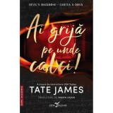 Ai grija pe unde calci! (a doua carte din seria &bdquo;Devil&rsquo;s Backbone&rdquo;) - Tate James
