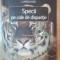 SPECII PE CALE DE DISPARITIE de YVES SCIAMA , 2003