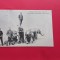 Bucuresti Bukarest Circ Circus Zirkus Cesar Sidoli Cirque Royal 1898
