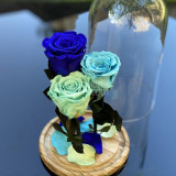 Cumpara ieftin 3 Trandafiri bleu, albastru, turcoaz &Oslash;6,5cm, cupola 17x28cm