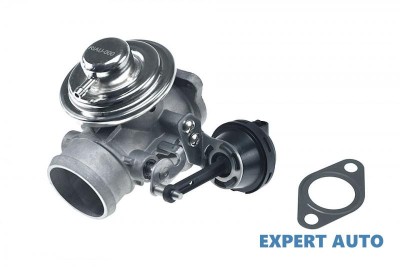 Egr Audi A6 (1997-2001) [4B, C5] #1 foto