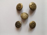 lot 5 nasturi militari ,Regatul Romaniei ,cu Stema Regala ,stare excelenta