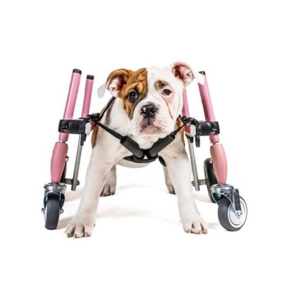 Walkinpets- Cărucior S &amp;ndash; roată &amp;icirc;n față Albastru foto