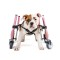 Walkinpets- Cărucior S &ndash; roată &icirc;n față Albastru