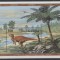 GAMBIA 1995 ANIMALE PREISTORICE DINOZAURI